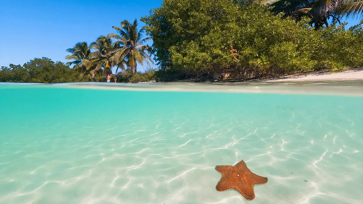 Isla Contoy - Isla Mujeres
