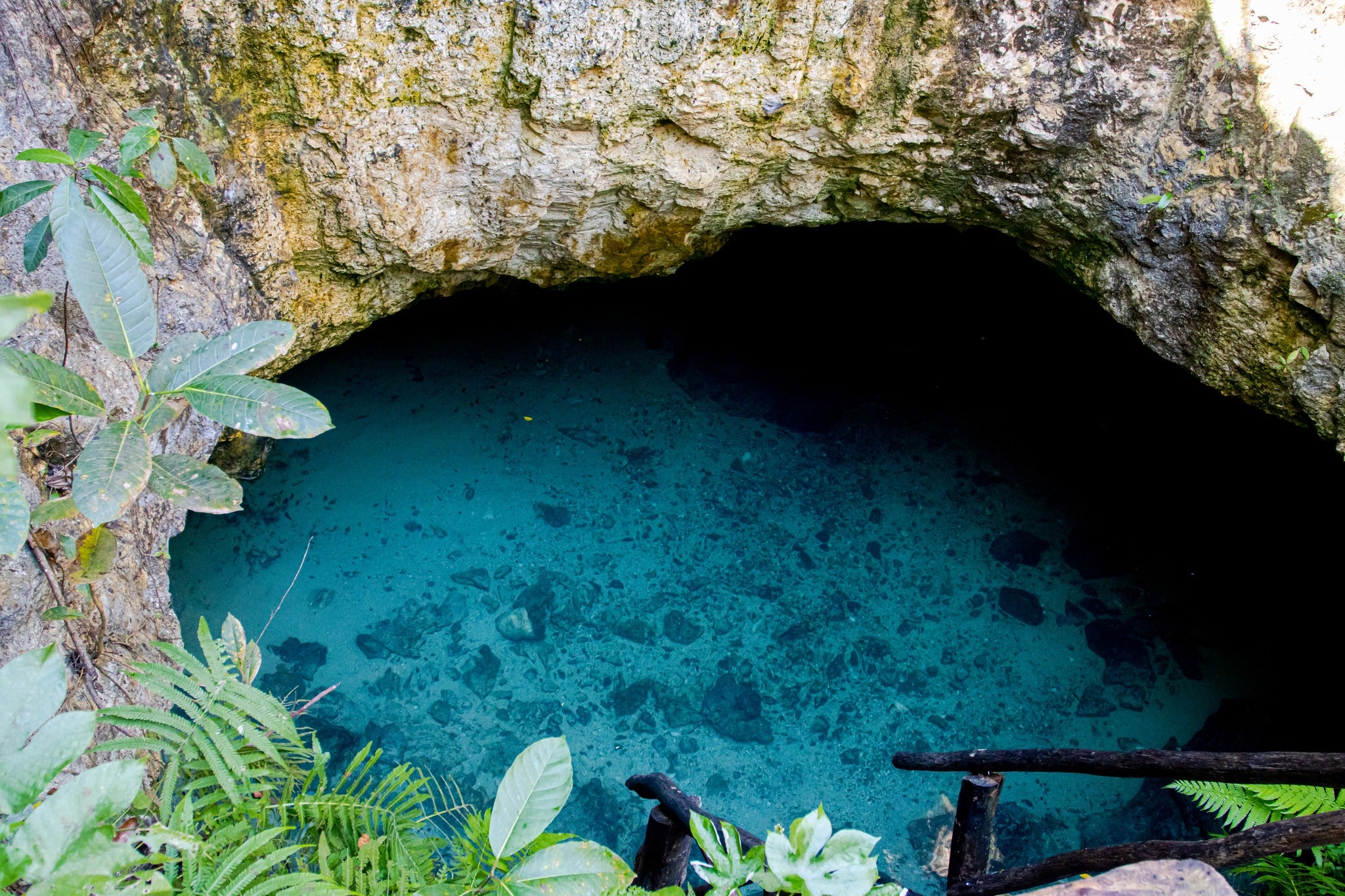 Pack 2 Tickets Cenotes Casa Tortuga