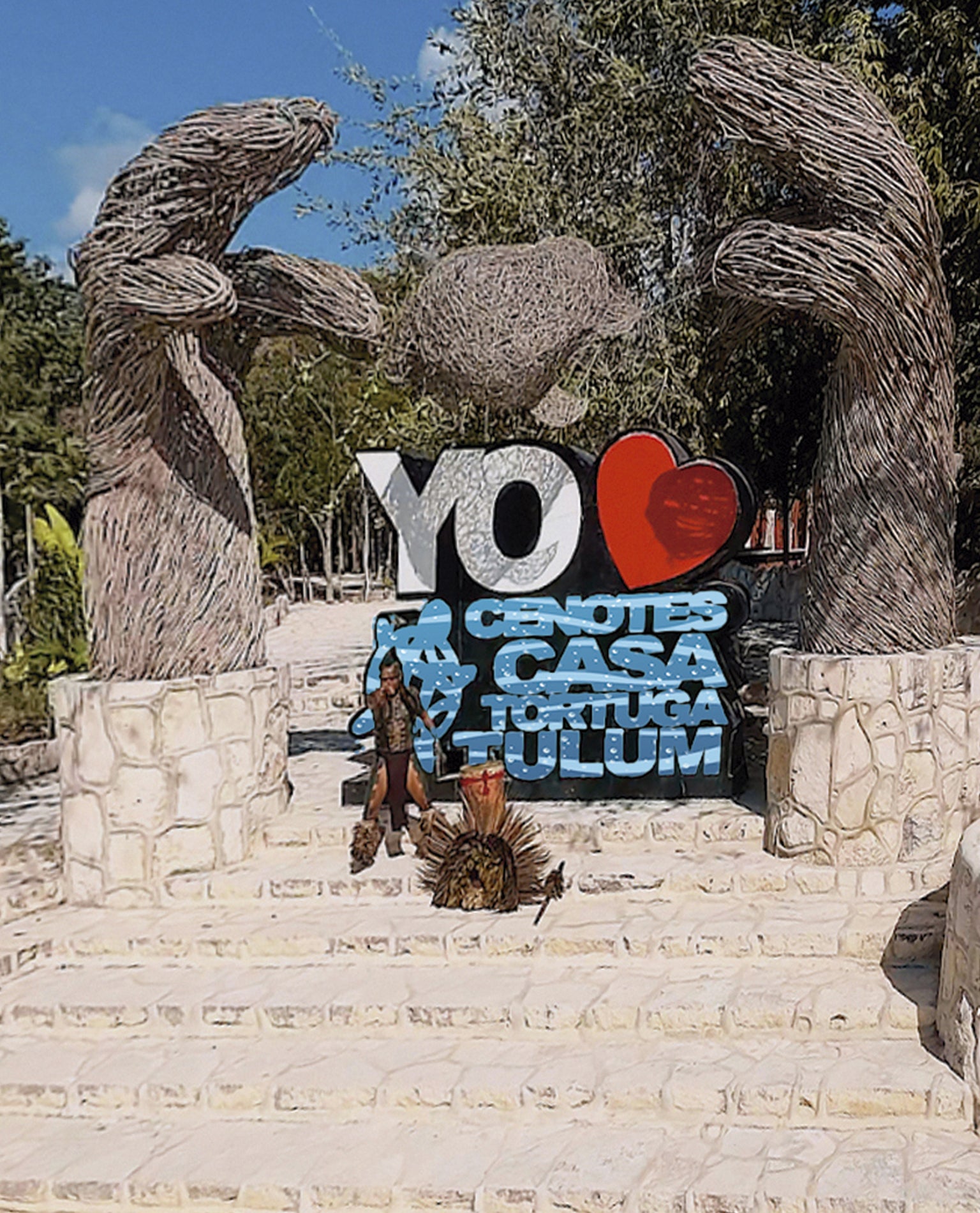 Casa Tortuga Silver