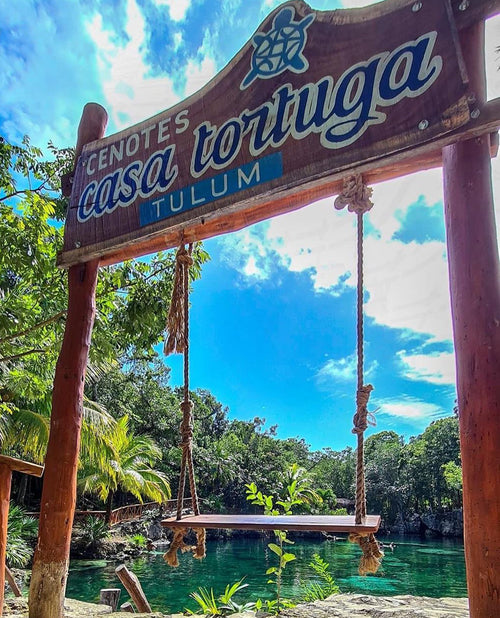 Casa Tortuga Básico