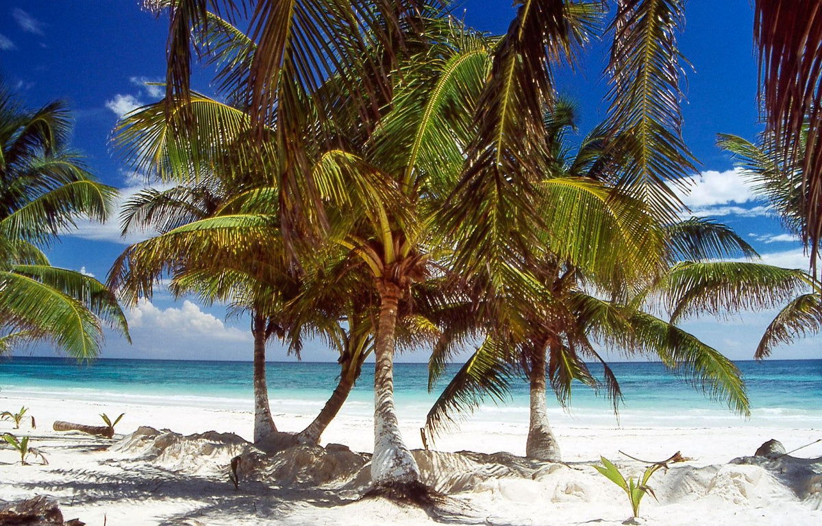 Sian Ka’an, Tulum