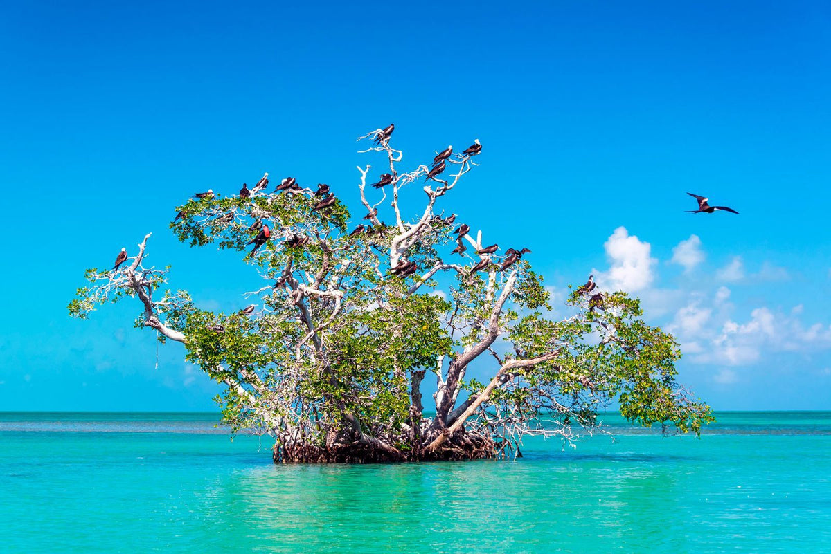 Punta Allen, Sian Ka’an
