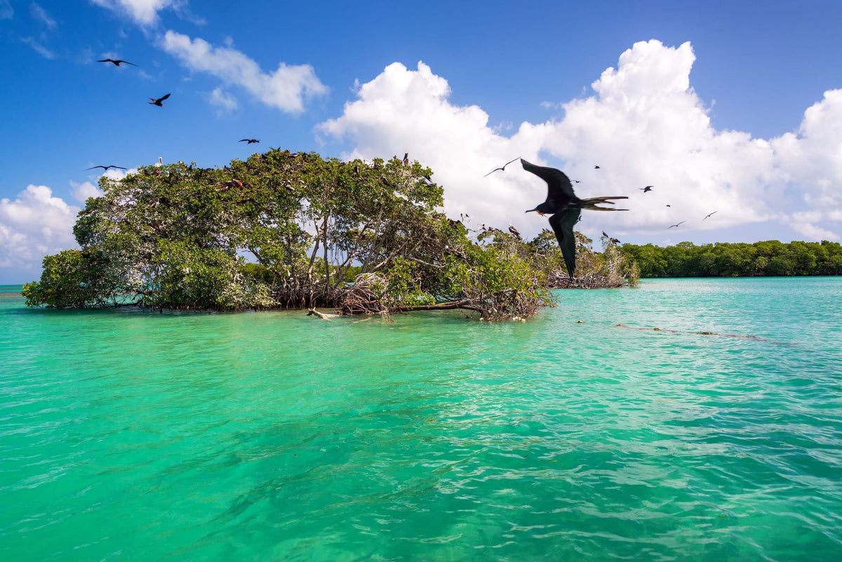 Tulum en 3 Días