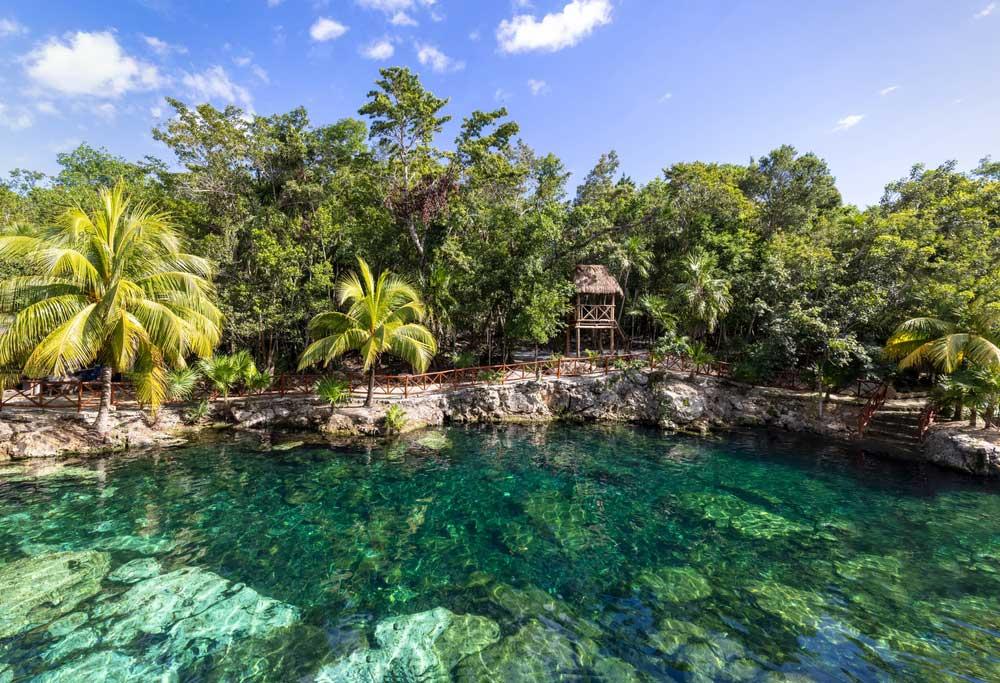 Casa Tortuga