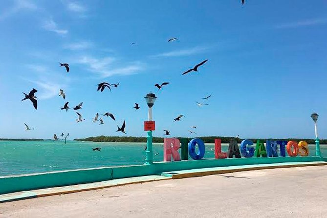Las Coloradas - Rio Lagartos