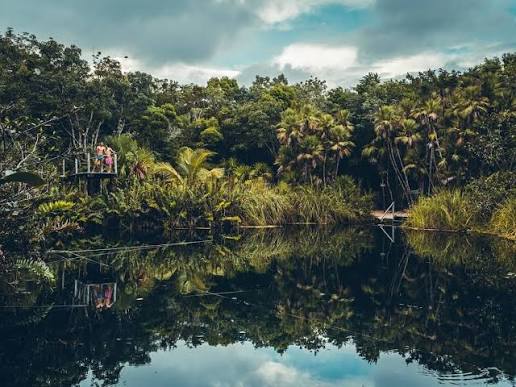 Cenote Cristal