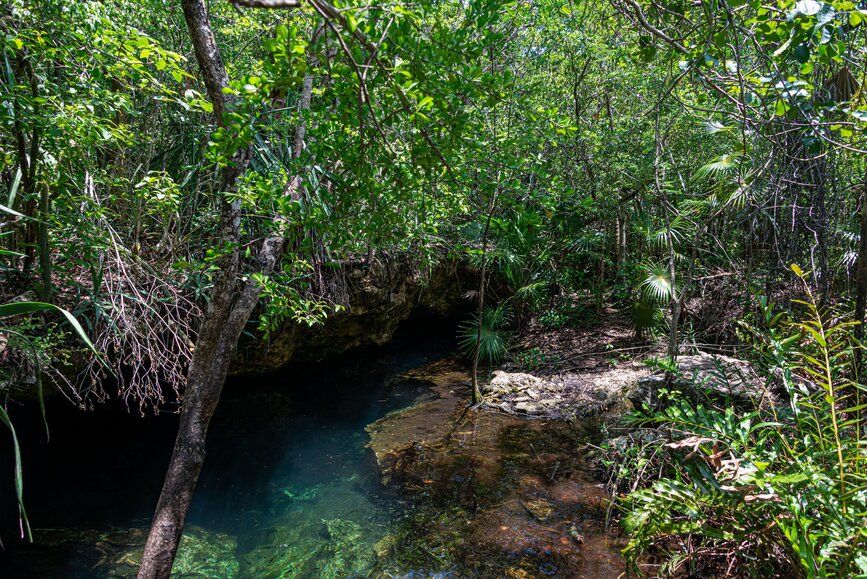 Cenotes de Chemuyil