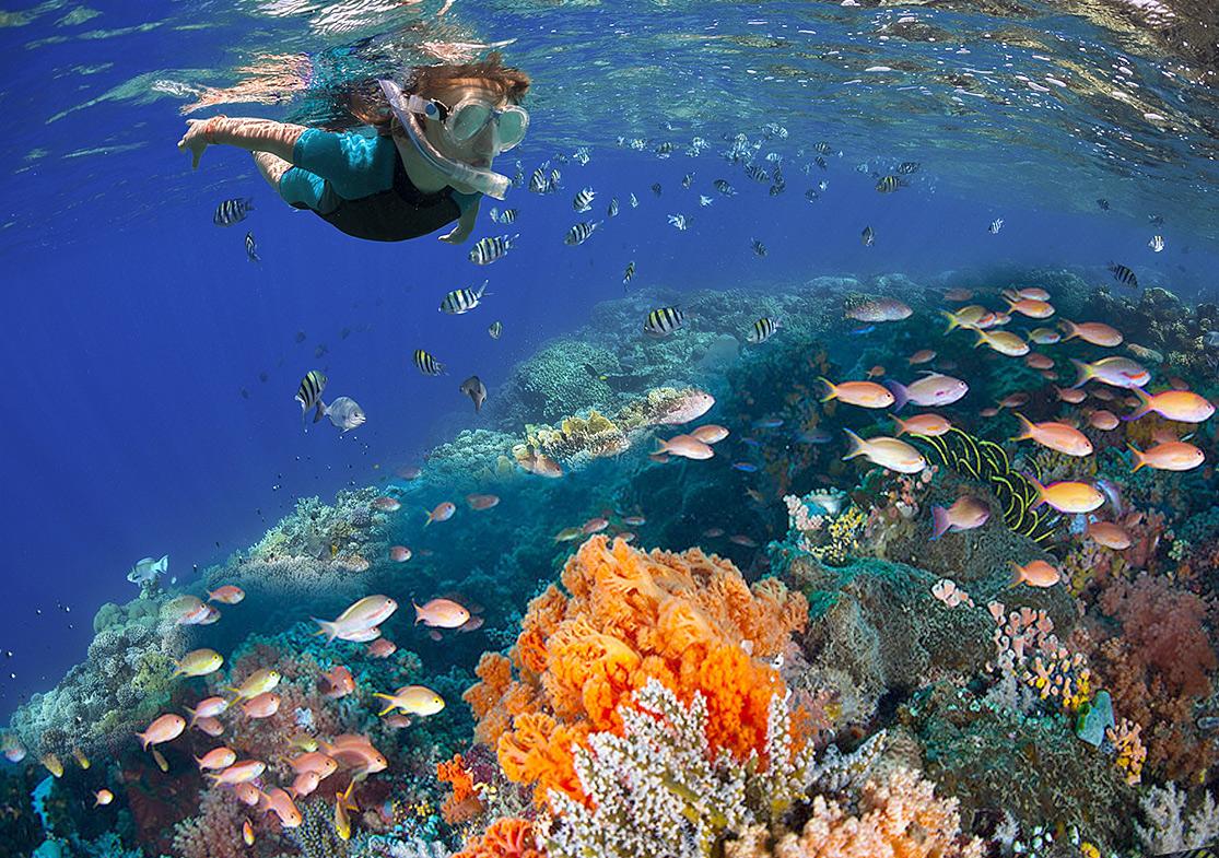 Isla Cozumel