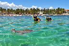 Snorkel con Tortugas (Akumal)