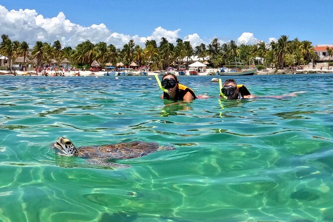 Snorkel con Tortugas (Akumal)