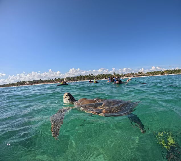 Tulum en 7 Días