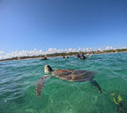 Tulum en 7 Días