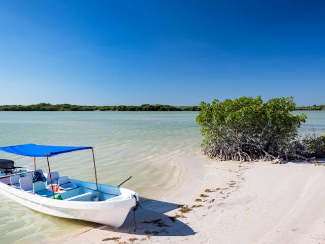 Las Coloradas - Rio Lagartos