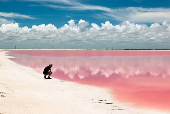 Las Coloradas - Rio Lagartos