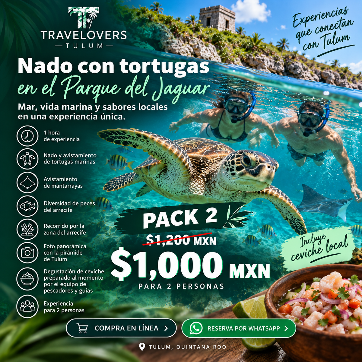 Pack 2 · Nado con Tortugas en Tulum